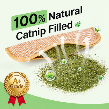 Catnip Kicker Pillow