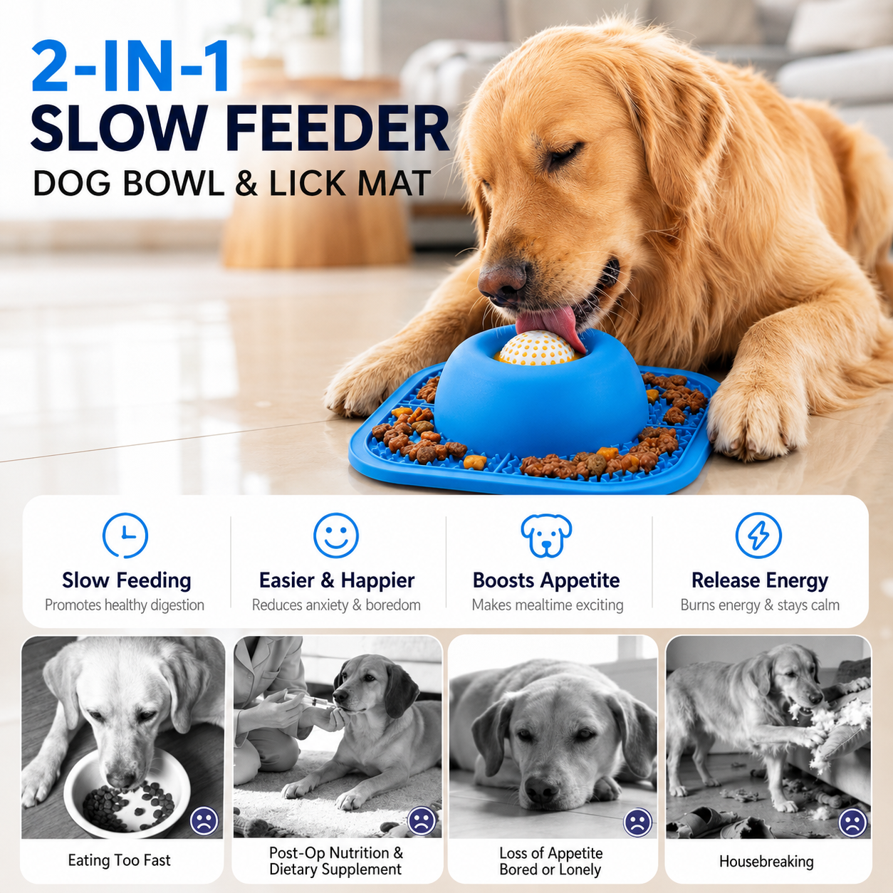 2-in-1 Slow Feeder Lick Ball Bowl